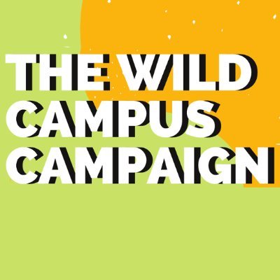 Supporting wild and natural university campuses and encouraging public-biodiversity engagement | Huge fans of ponds, weeds and ivy | Less mowing, more growing