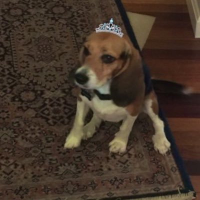 optix_c's profile picture. parent, volunteer