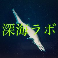 サメの歯アクセサリー専門店〜深海ラボ〜 (@deep_sea_labo) 's Twitter Profile Photo サメの歯アクセサリー専門店〜深海ラボ〜 (@deep_sea_labo) 's Twitter Profile Photo