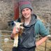 Miranda Timmerman (@miranda_vet) Twitter profile photo Miranda Timmerman (@miranda_vet) Twitter profile photo