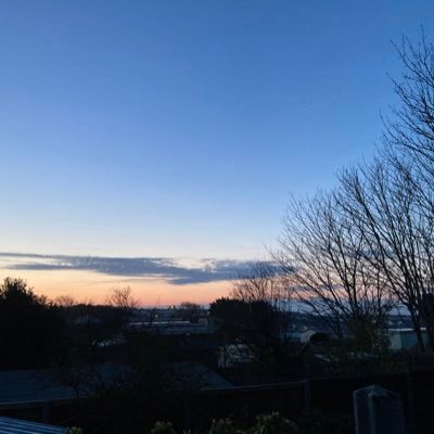 gingaMamaBear's profile picture. appreciate the simple things in life