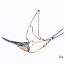 gofujita's profile picture. Ornithology, ecology, natural history, outliner as a dynamic personal media, writing, coffee and Smalltalk.