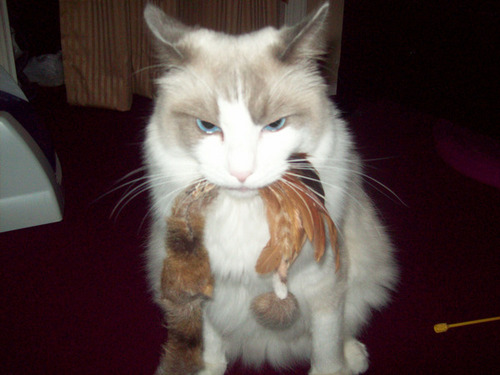 DarthBusyboy's profile picture. 