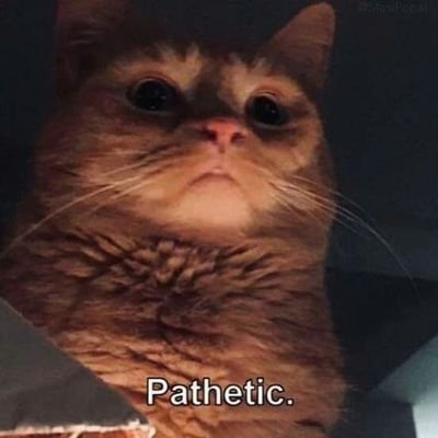 deliberti96's profile picture. 