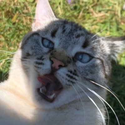 Julia93169744's profile picture. 