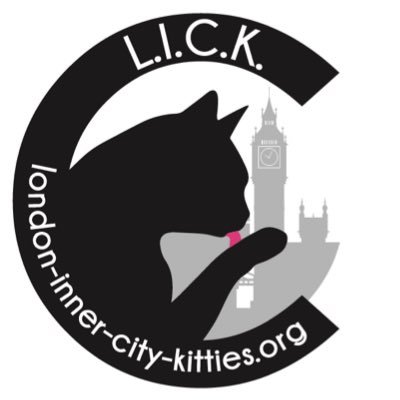 We are a small, volunteer run, no-kill cat charity. Check our website for cats looking for a loving home! #adoptdontshop