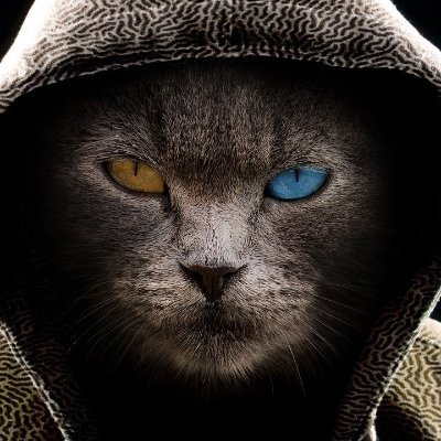 Mohamed79058904's profile picture. 