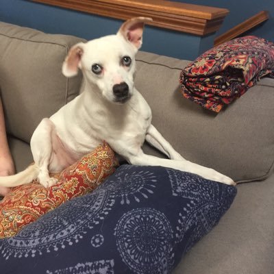RTDALSIN's profile picture. 