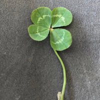 Judy Driggers (@driggersjudy) 's Twitter Profile Photo Judy Driggers (@driggersjudy) 's Twitter Profile Photo