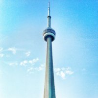 TorontoVaccineFinder (@tovaccinefinder) 's Twitter Profile