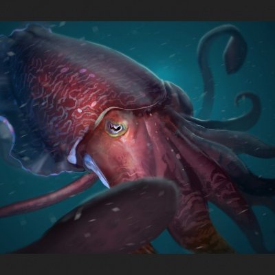 SquidKing18 Profile Picture