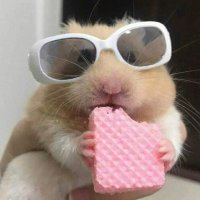 gulnur (@gu1nuur) Twitter profile photo