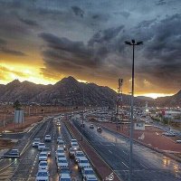 حماة (@2ymwpazqa0dmzcn) Twitter profile photo