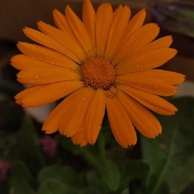 YusufBedk4's profile picture. 😂 😂 😂 😂