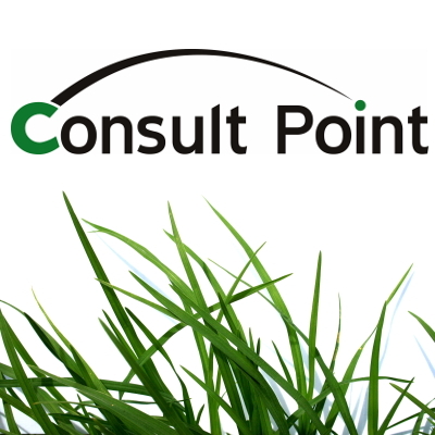 Business Technology Consulting for growing organisations.
