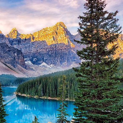 monukum46593298's profile picture. born to love