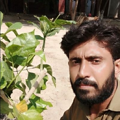 muzaffar9212's profile picture. 