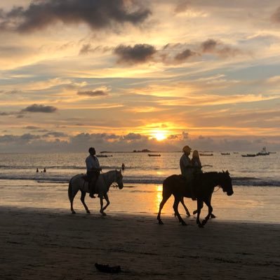 PaliHighGolf's profile picture. LA City Boys Golf Champions - 2017, 2015, 2014, 2013. ( 2019, 2018, 2017, 2016) Girls Western League Champs