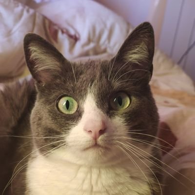 🌱
Programador mal. Metal y música en general. Cine. Anime. Videojuegos. Viajar.