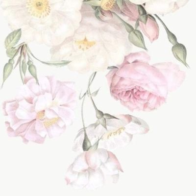 imedarsv's profile picture. Building ApplyMate – Because You Deserve Better Than Repeating Yourself || 0$ MRR