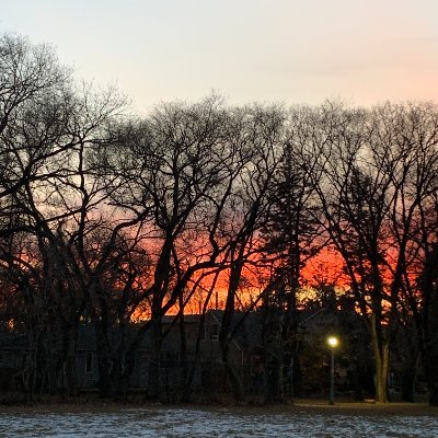 stivhalasz's profile picture. 