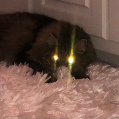 CryptoCoffey's profile picture. 