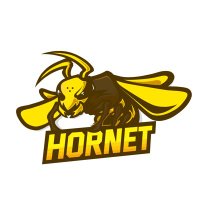 BC SWELL Hornet【大会用】 (@bcsh__t) 's Twitter Profile