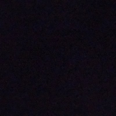 sillycheese24's profile picture. 