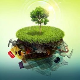 thinkorganicway's profile picture. Working for a safe & healthy future planet