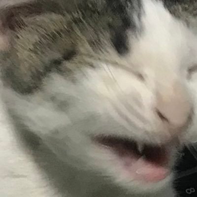 clipkicks's profile picture. i like many things #NRGWIN #GOBLEED #ALWAYSFNATIC