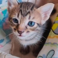 5iManja (@manisku57) 's Twitter Profile