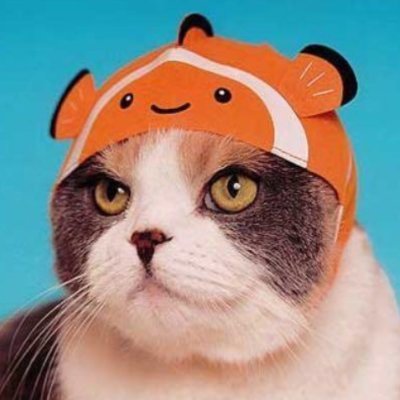 kylerblackmon's profile picture. @kylerblackmon.bsky.social