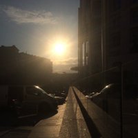Serkan (@serkcel) 's Twitter Profile