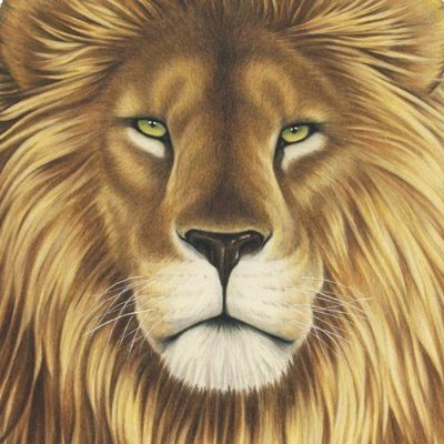 adsingh04717619's profile picture. 