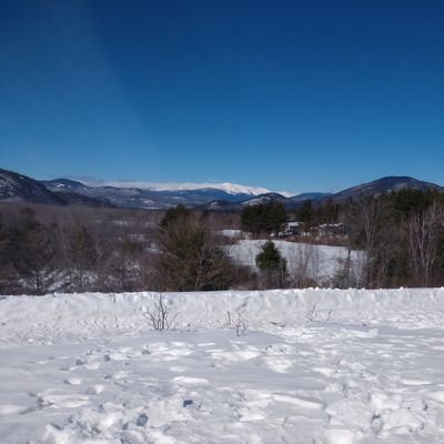 Brandon69527896's profile picture. 