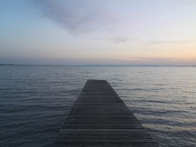 ThomasAnton20's profile picture. 