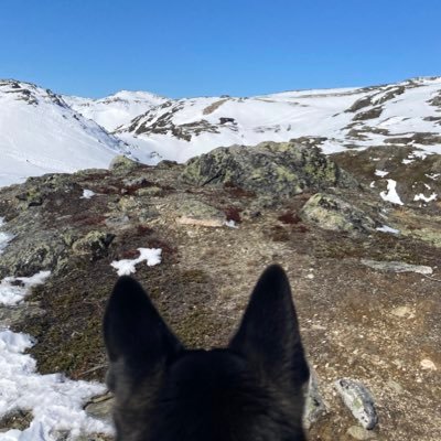 RhageTomas's profile picture. 