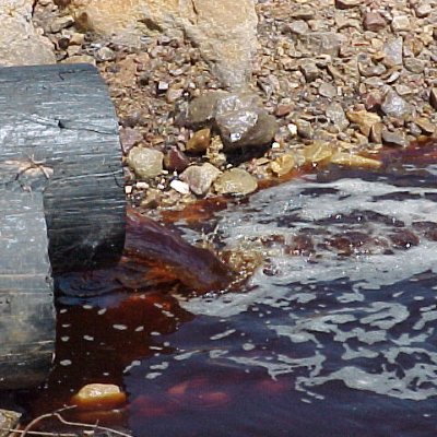 Proteger nuestros recursos naturales y nuestra biodiversidad. Aun es Tiempo!!!