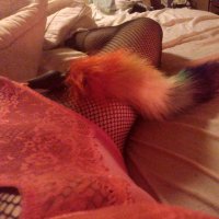 AlexaSissySwitch (@switch_alexa) 's Twitter Profile