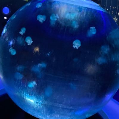 CvpcG8iMcklRGg2's profile picture. ！！