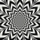 Tariq.Hamid - @TariqHa55787170 - Twitter