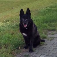 Enavigo (@enavigo) 's Twitter Profile
