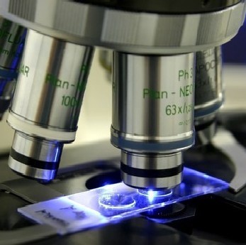 pathologybooks's profile picture. 