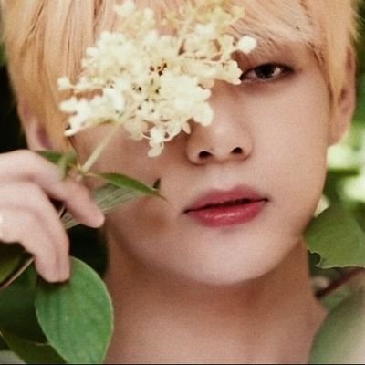 — kim taehyung, the world healer ♥︎