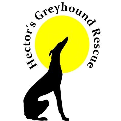 We are a dedicated group of volunteers who devote our time to saving & rehoming ex-racers, lurchers & other sighthounds. 
Follow, like, support. It all helps!