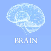 Brain