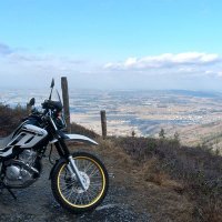 けーん (@datukamonegi) 's Twitter Profile