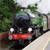 The Royal Windsor Steam Express (@royalwindsorexp) Twitter profile photo