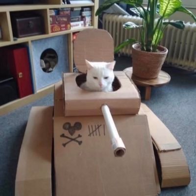 tychoxfn's profile picture. quit