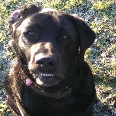 Journalist and occasional author who likes digging for bones